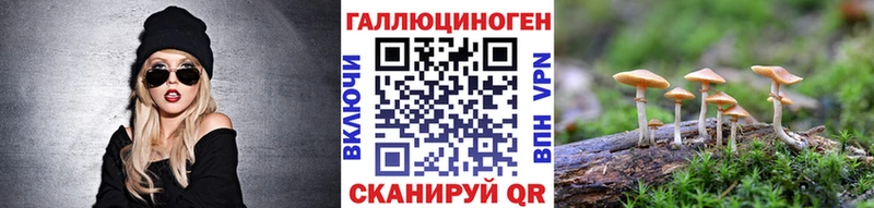 Псилоцибиновые грибы мицелий Суджа
