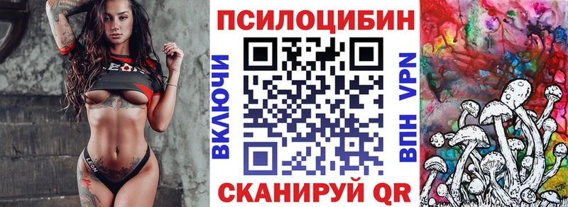 Псилоцибиновые грибы Cubensis  купить наркотик  Суджа 